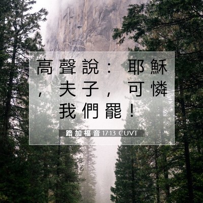 Picture 07 - 路 加 福 音 17:13 CUVT - 高 聲 說 ： 耶 穌 ， 夫 子 ， 可 憐 - Bible Verse Picture