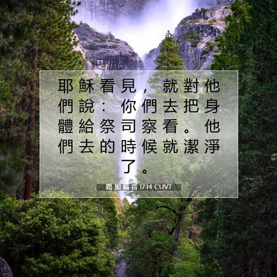 Picture 07 - 路 加 福 音 17:14 CUVT - 耶 穌 看 見 ， 就 對 他 們 說 ： 你 - Bible Verse Picture