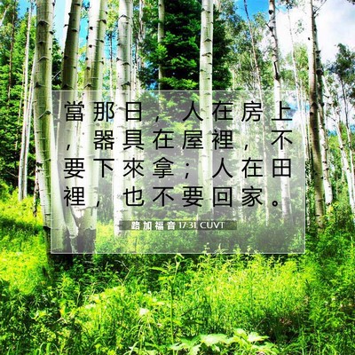 Picture 07 - 路 加 福 音 17:31 CUVT - 當 那 日 ， 人 在 房 上 ， 器 具 在 - Bible Verse Picture
