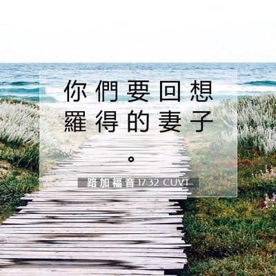Picture 07 - 路 加 福 音 17:32 CUVT - 你 們 要 回 想 羅 得 的 妻 子 - Bible Verse Picture