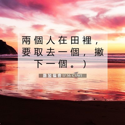 Picture 07 - 路 加 福 音 17:36 CUVT - 兩 個 人 在 田 裡 ， 要 取 去 一 個 - Bible Verse Picture