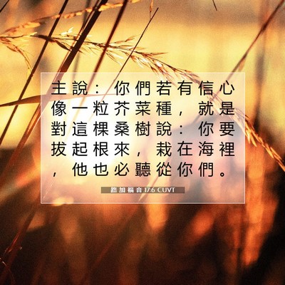 Picture 07 - 路 加 福 音 17:6 CUVT - 主 說 ： 你 們 若 有 信 心 像 一 粒 - Bible Verse Picture