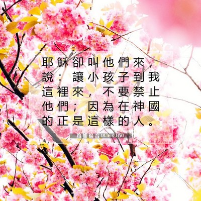 Picture 07 - 路 加 福 音 18:16 CUVT - 耶 穌 卻 叫 他 們 來 ， 說 ： 讓 小 - Bible Verse Picture