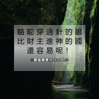 Picture 07 - 路 加 福 音 18:25 CUVT - 駱 駝 穿 過 針 的 眼 比 財 主 進 神 - Bible Verse Picture