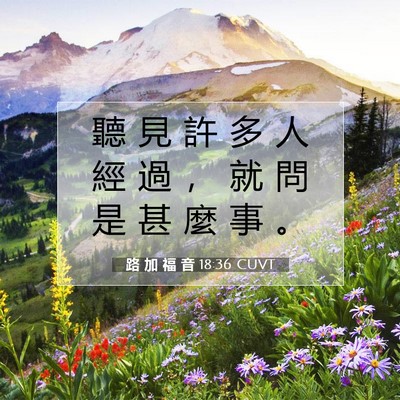 Picture 07 - 路 加 福 音 18:36 CUVT - 聽 見 許 多 人 經 過 ， 就 問 是 甚 - Bible Verse Picture