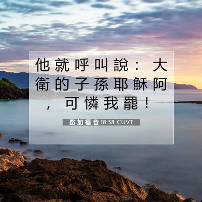 Picture 07 - 路 加 福 音 18:38 CUVT - 他 就 呼 叫 說 ： 大 衛 的 子 孫 耶 - Bible Verse Picture
