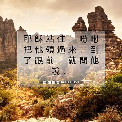 Picture 07 - 路 加 福 音 18:40 CUVT - 耶 穌 站 住 ， 吩 咐 把 他 領 過 來 - Bible Verse Picture