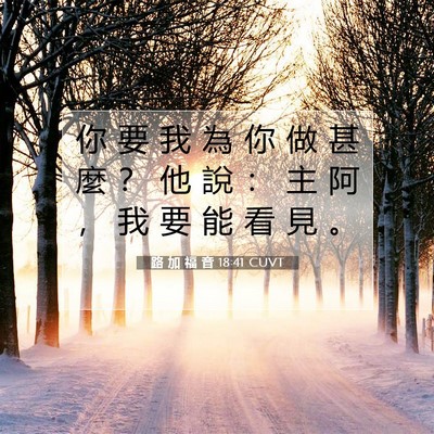 Picture 07 - 路 加 福 音 18:41 CUVT - 你 要 我 為 你 做 甚 麼 ？ 他 說 ： - Bible Verse Picture