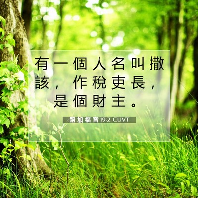 Picture 07 - 路 加 福 音 19:2 CUVT - 有 一 個 人 名 叫 撒 該 ， 作 稅 吏 - Bible Verse Picture