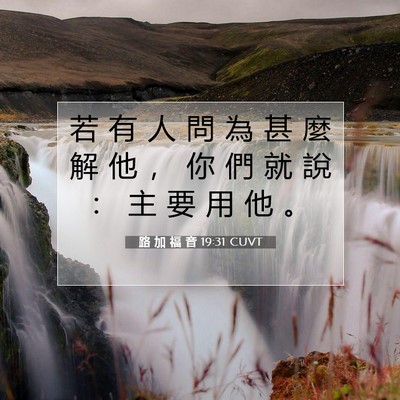 Picture 07 - 路 加 福 音 19:31 CUVT - 若 有 人 問 為 甚 麼 解 他 ， 你 們 - Bible Verse Picture