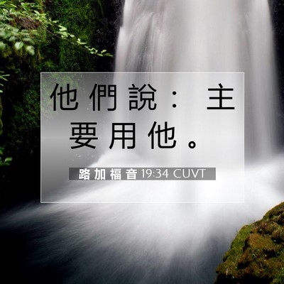 Picture 07 - 路 加 福 音 19:34 CUVT - 他 們 說 ： 主 要 用 他 - Bible Verse Picture