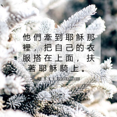 Picture 07 - 路 加 福 音 19:35 CUVT - 他 們 牽 到 耶 穌 那 裡 ， 把 自 己 - Bible Verse Picture