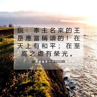 Picture 07 - 路 加 福 音 19:38 CUVT - 說 ： 奉 主 名 來 的 王 是 應 當 稱 - Bible Verse Picture
