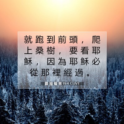 Picture 07 - 路 加 福 音 19:4 CUVT - 就 跑 到 前 頭 ， 爬 上 桑 樹 ， 要 - Bible Verse Picture