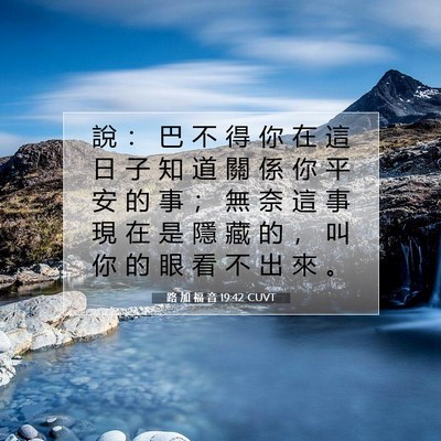 Picture 07 - 路 加 福 音 19:42 CUVT - 說 ： 巴 不 得 你 在 這 日 子 知 道 - Bible Verse Picture