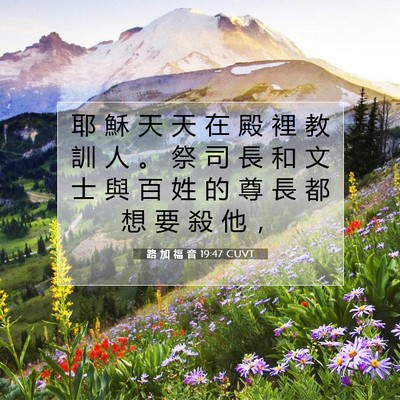 Picture 07 - 路 加 福 音 19:47 CUVT - 耶 穌 天 天 在 殿 裡 教 訓 人 。 祭 - Bible Verse Picture