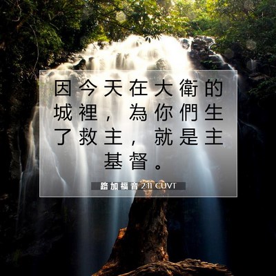 Picture 07 - 路 加 福 音 2:11 CUVT - 因 今 天 在 大 衛 的 城 裡 ， 為 你 - Bible Verse Picture
