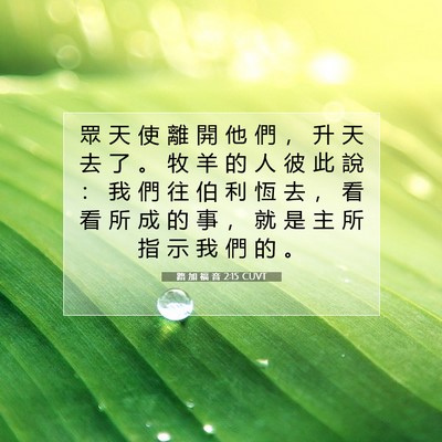 Picture 07 - 路 加 福 音 2:15 CUVT - 眾 天 使 離 開 他 們 ， 升 天 去 了 - Bible Verse Picture