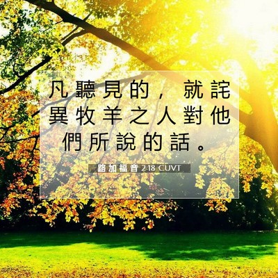 Picture 07 - 路 加 福 音 2:18 CUVT - 凡 聽 見 的 ， 就 詫 異 牧 羊 之 人 - Bible Verse Picture