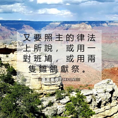 Picture 07 - 路 加 福 音 2:24 CUVT - 又 要 照 主 的 律 法 上 所 說 ， 或 - Bible Verse Picture