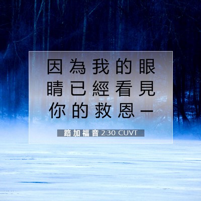 Picture 07 - 路 加 福 音 2:30 CUVT - 因 為 我 的 眼 睛 已 經 看 見 你 的 - Bible Verse Picture