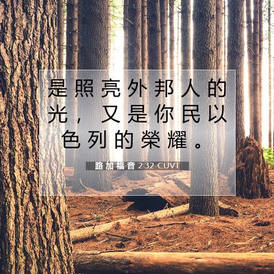 Picture 07 - 路 加 福 音 2:32 CUVT - 是 照 亮 外 邦 人 的 光 ， 又 是 你 - Bible Verse Picture