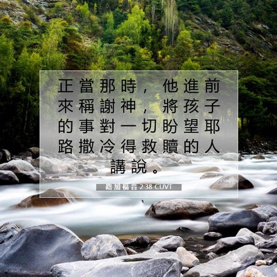 Picture 07 - 路 加 福 音 2:38 CUVT - 正 當 那 時 ， 他 進 前 來 稱 謝 神 - Bible Verse Picture