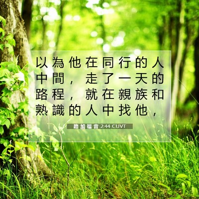 Picture 07 - 路 加 福 音 2:44 CUVT - 以 為 他 在 同 行 的 人 中 間 ， 走 - Bible Verse Picture