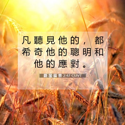 Picture 07 - 路 加 福 音 2:47 CUVT - 凡 聽 見 他 的 ， 都 希 奇 他 的 聰 - Bible Verse Picture