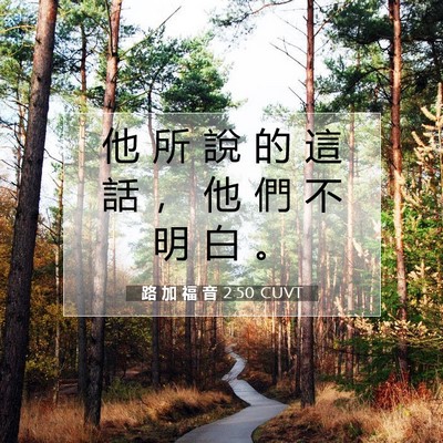 Picture 07 - 路 加 福 音 2:50 CUVT - 他 所 說 的 這 話 ， 他 們 不 明 白 - Bible Verse Picture