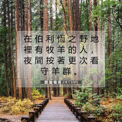 Picture 07 - 路 加 福 音 2:8 CUVT - 在 伯 利 恆 之 野 地 裡 有 牧 羊 的 - Bible Verse Picture