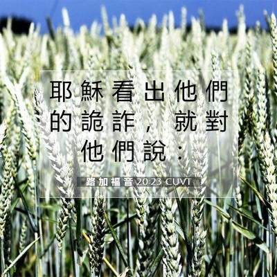 Picture 07 - 路 加 福 音 20:23 CUVT - 耶 穌 看 出 他 們 的 詭 詐 ， 就 對 - Bible Verse Picture