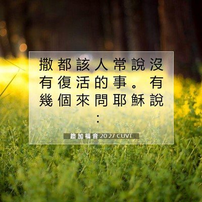 Picture 07 - 路 加 福 音 20:27 CUVT - 撒 都 該 人 常 說 沒 有 復 活 的 事 - Bible Verse Picture