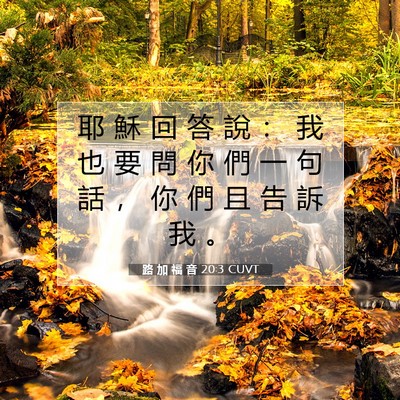 Picture 07 - 路 加 福 音 20:3 CUVT - 耶 穌 回 答 說 ： 我 也 要 問 你 們 - Bible Verse Picture