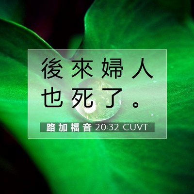 Picture 07 - 路 加 福 音 20:32 CUVT - 後 來 婦 人 也 死 了 - Bible Verse Picture