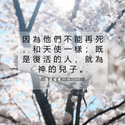 Picture 07 - 路 加 福 音 20:36 CUVT - 因 為 他 們 不 能 再 死 ， 和 天 使 - Bible Verse Picture