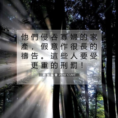 Picture 07 - 路 加 福 音 20:47 CUVT - 他 們 侵 吞 寡 婦 的 家 產 ， 假 意 - Bible Verse Picture