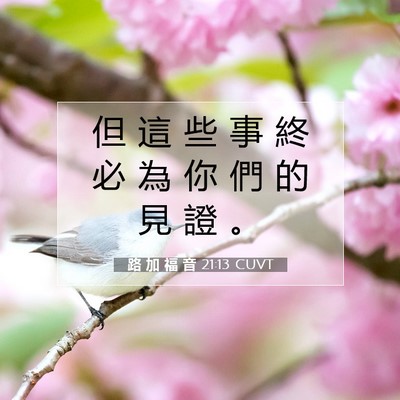 Picture 07 - 路 加 福 音 21:13 CUVT - 但 這 些 事 終 必 為 你 們 的 見 證 - Bible Verse Picture