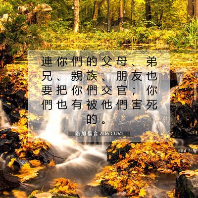 Picture 07 - 路 加 福 音 21:16 CUVT - 連 你 們 的 父 母 、 弟 兄 、 親 族 - Bible Verse Picture