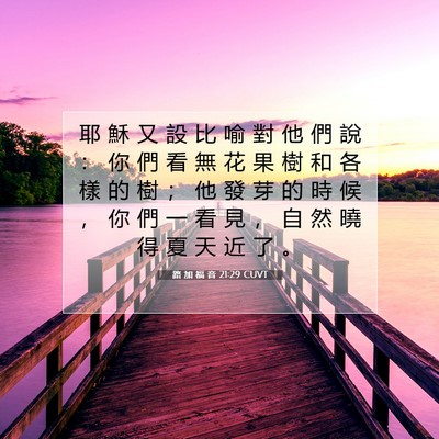 Picture 07 - 路 加 福 音 21:29 CUVT - 耶 穌 又 設 比 喻 對 他 們 說 ： 你 - Bible Verse Picture