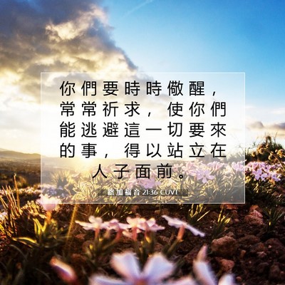 Picture 07 - 路 加 福 音 21:36 CUVT - 你 們 要 時 時 儆 醒 ， 常 常 祈 求 - Bible Verse Picture