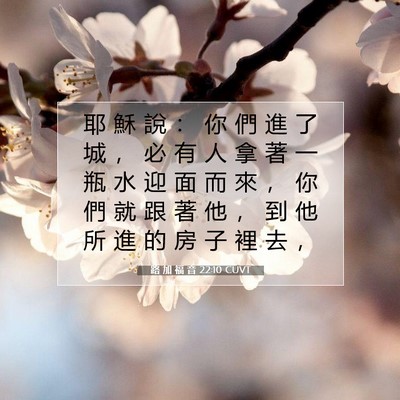 Picture 07 - 路 加 福 音 22:10 CUVT - 耶 穌 說 ： 你 們 進 了 城 ， 必 有 - Bible Verse Picture