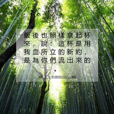 Picture 07 - 路 加 福 音 22:20 CUVT - 飯 後 也 照 樣 拿 起 杯 來 ， 說 ： - Bible Verse Picture