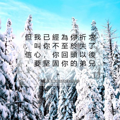 Picture 07 - 路 加 福 音 22:32 CUVT - 但 我 已 經 為 你 祈 求 ， 叫 你 不 - Bible Verse Picture