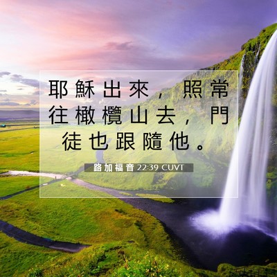 Picture 07 - 路 加 福 音 22:39 CUVT - 耶 穌 出 來 ， 照 常 往 橄 欖 山 去 - Bible Verse Picture
