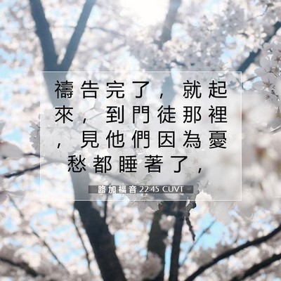 Picture 07 - 路 加 福 音 22:45 CUVT - 禱 告 完 了 ， 就 起 來 ， 到 門 徒 - Bible Verse Picture