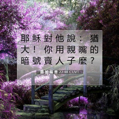 Picture 07 - 路 加 福 音 22:48 CUVT - 耶 穌 對 他 說 ： 猶 大 ！ 你 用 親 - Bible Verse Picture
