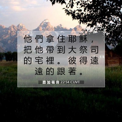 Picture 07 - 路 加 福 音 22:54 CUVT - 他 們 拿 住 耶 穌 ， 把 他 帶 到 大 - Bible Verse Picture