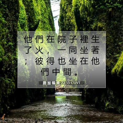 Picture 07 - 路 加 福 音 22:55 CUVT - 他 們 在 院 子 裡 生 了 火 ， 一 同 - Bible Verse Picture