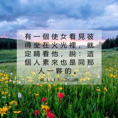 Picture 07 - 路 加 福 音 22:56 CUVT - 有 一 個 使 女 看 見 彼 得 坐 在 火 - Bible Verse Picture